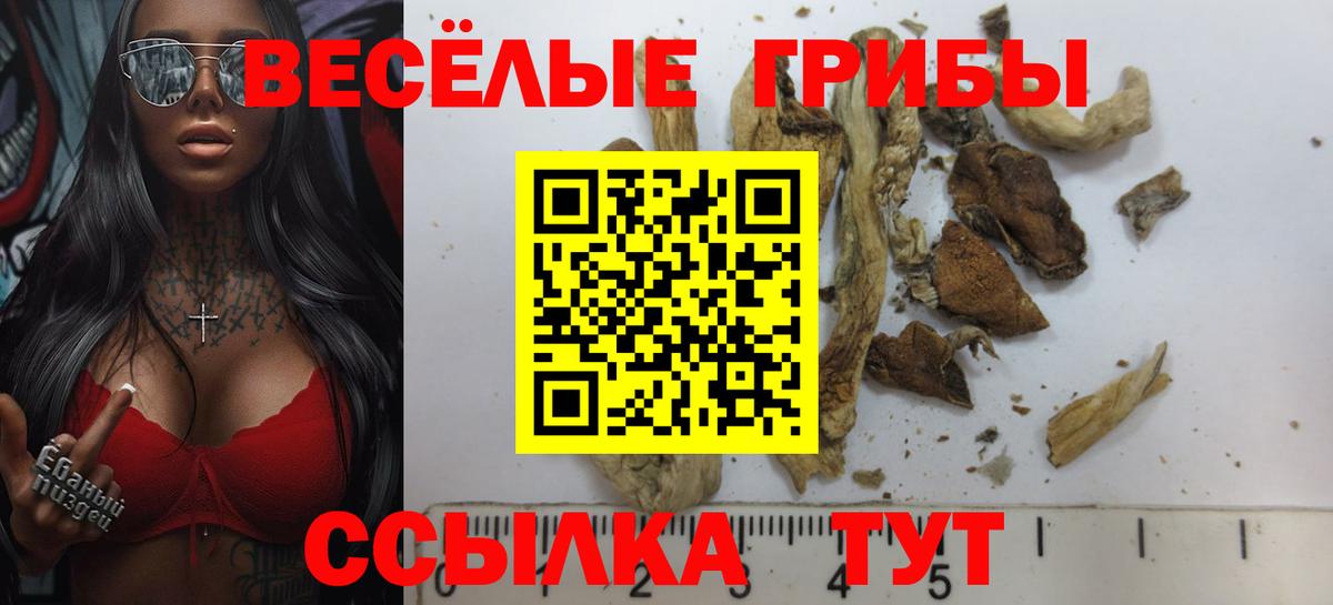 Нижнекамск  Псилоцибиновые грибы MAGIC MUSHROOMS  Вход с VPN 